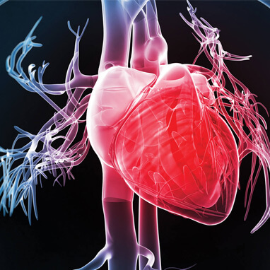 Kalp Sağlığı